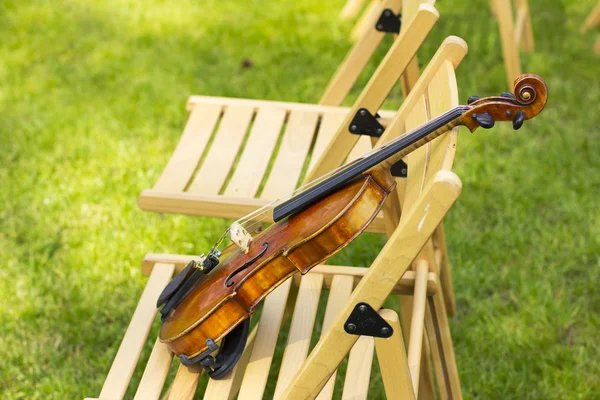 Violin. Violin outdoors. Live music. Wedding.Musician for the wedding.Violin under the open sky