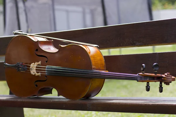 Kontrabässe Auf Einer Bühne Saiteninstrument Violin Cello — Stockfoto