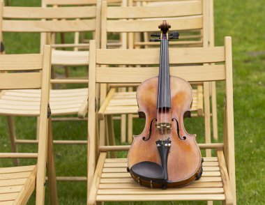 Keman. Keman açık havada. Canlı müzik. Wedding.Musician düğün için. Açık havada keman