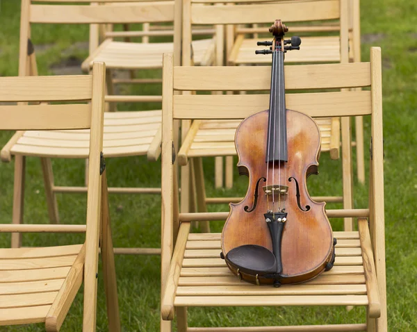 Violin. Violin utomhus. Levande musik. Wedding.Musician för bröllop. Fiol under bar himmel — Stockfoto