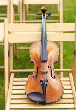 Keman. Keman açık havada. Canlı müzik. Wedding.Musician düğün için. Açık havada keman