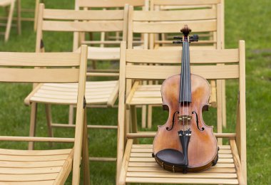 Keman. Keman açık havada. Canlı müzik. Wedding.Musician düğün için. Açık havada keman