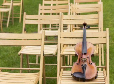 Keman. Keman açık havada. Canlı müzik. Wedding.Musician düğün için. Açık havada keman