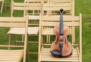 Keman. Keman açık havada. Canlı müzik. Wedding.Musician düğün için. Açık havada keman