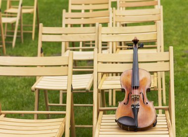 Keman. Keman açık havada. Canlı müzik. Wedding.Musician düğün için. Açık havada keman
