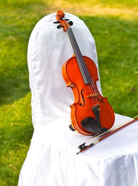 Keman bir düğün kemer bir arka plan üzerinde. Keman düğün. Canlı müzik. Keman