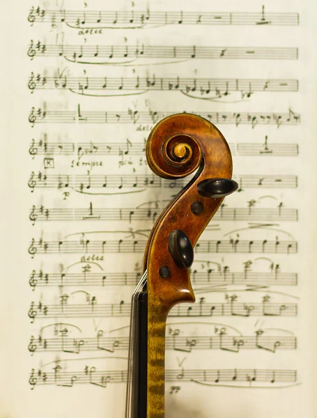 Beautiful violin on a background of the old notes. musical instruments. stringed instruments — Stock Photo, Image