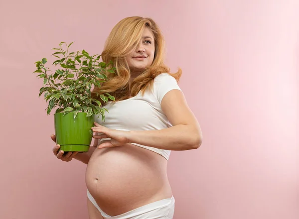 Zwangere Vrouw Met Groene Ficus Haar Handen Een Roze Achtergrond — Stockfoto