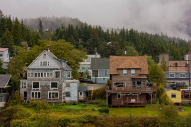 İskandinavya 'da tek katlı evler 