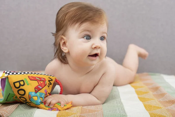 Niño Pequeño Está Jugando Con Juguete Primer Libro Bebé Imágenes De Stock Sin Royalties Gratis