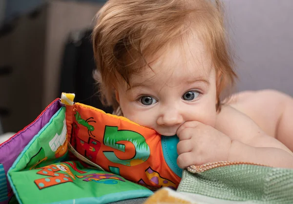 Niño Pequeño Está Jugando Con Juguete Primer Libro Bebé Imagen De Stock