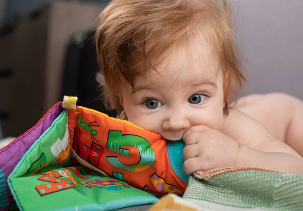 Bambino Sta Giocando Con Giocattolo Primo Libro Bambino Fotografia Stock