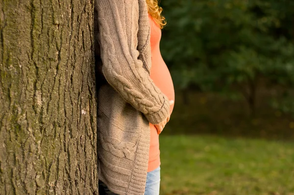 Hermosa rubia embarazada en la naturaleza. Retrato de una joven embarazada —  Fotos de Stock