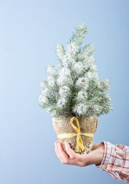 Mavi bir arka plan üzerinde güzel Noel kürk-ağaç
