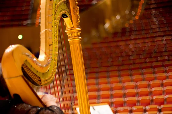 Beautiful harp in the concert hall. Harp. Musical instrument — Stock Photo, Image