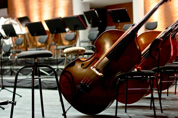 Contrabass on stage in front of an empty hall — Stock Photo, Image