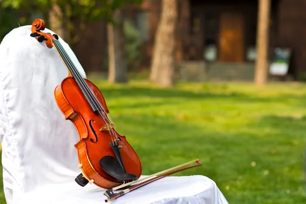 ヴァイオリン。ヴァイオリン屋外。ライブ音楽。結婚式。結婚式でのライブ音楽 — ストック写真