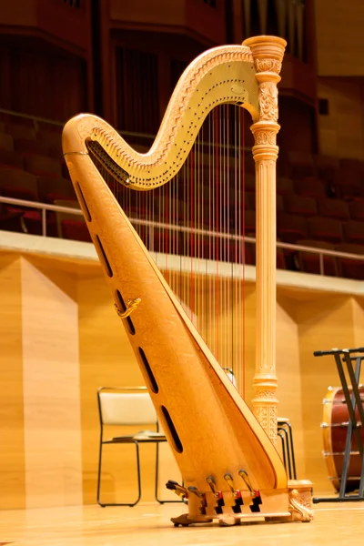 Hermoso arpa en la sala de conciertos. Arpa. Instrumento musical —  Fotos de Stock