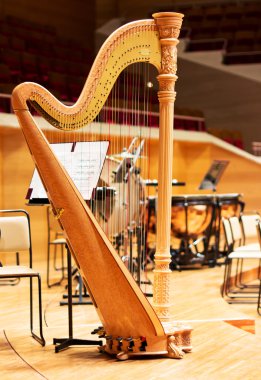 Büyük bir konser salonunda arp. Müzik enstrümanı. Konser arpı.