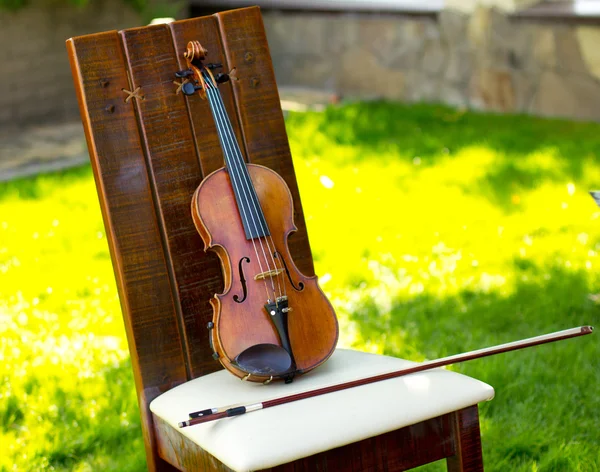 Geige. Geige im Freien. Live-Musik. hochzeit.musiker für die hochzeit.geige unter freiem himmel — Stockfoto