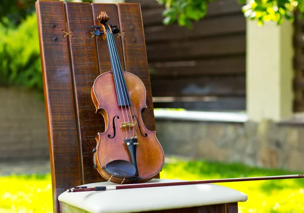 Violin. Violin outdoors. Live music. Wedding.Musician for the wedding.Violin under the open sky — Stock Photo, Image