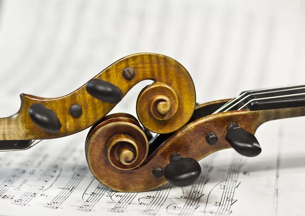 Hermoso violín sobre un fondo de las viejas notas. instrumentos musicales. instrumentos de cuerda — Foto de Stock