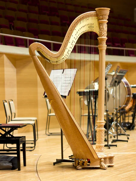 Harfe in einem großen Konzertsaal. Musikinstrument.Die Konzertharfe — Stockfoto