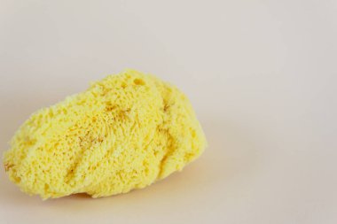 Bej arka planda bir denizci süngeri. Yatay yönelim, boşluğu kopyala.