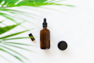 Palmiye dallı kozmetik ürünleri için cam şişeler. Model için etiketsiz boş ambalaj. Doğal organik kozmetik konsepti.