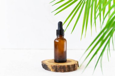 Yüz ve vücut bakım ürünleri için cam şişe ve palmiye dalı. Model için etiketsiz boş ambalaj. Doğal organik kozmetik konsepti.