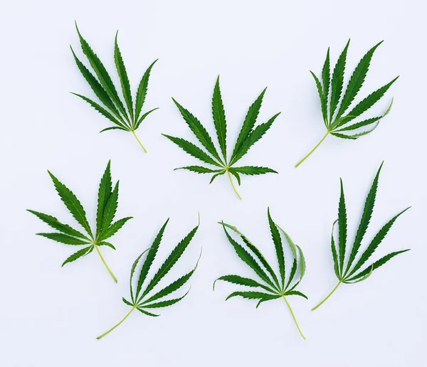 Cannabis Leaves White Background Horizontal Orientation Top View — Stock Photo, Image