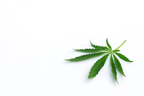 Cannabis Leaf White Background Horizontal Orientation Copy Space Legalization Marijuana — Stock Photo, Image