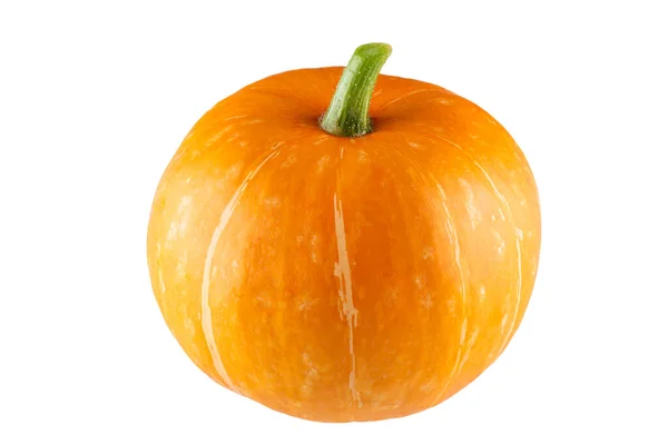 Zucca Fresca Isolata Sfondo Bianco — Foto Stock