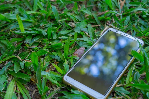 Telepon Pintar Berbaring Rumput Hijau Segar Telepon Yang Hilang — Stok Foto