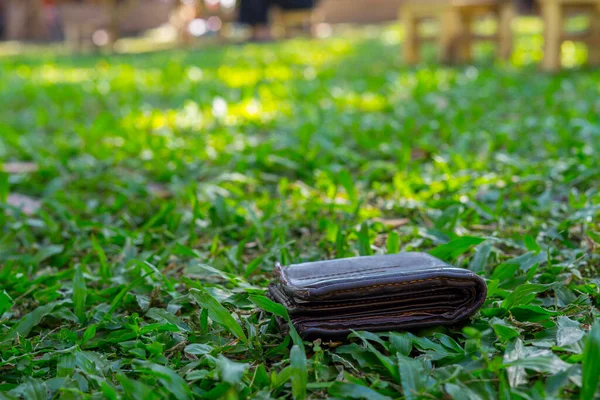 Lost leather wallet with money drop on the grass garden