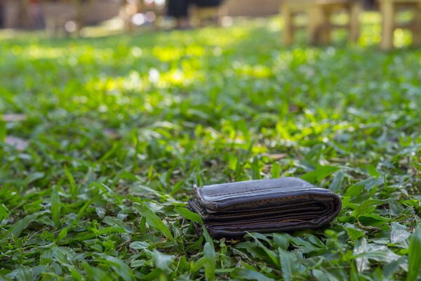 Lost leather wallet with money drop on the grass garden