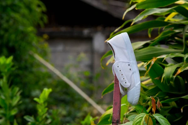 Yıkama Kurutma Ayakkabıları Çubuktaki Kırıntılar Kuru Doğal Bir Şekilde Ayakkabıları — Stok fotoğraf