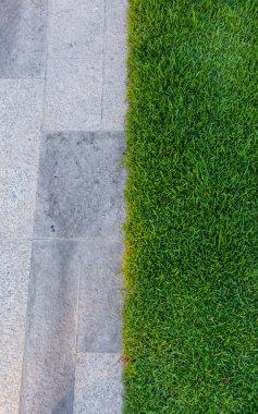 döşeme ve çim desen