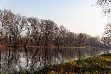 Yapraksız sonbahar manzarası mavi gökyüzünün arka planında suya yansıyor.