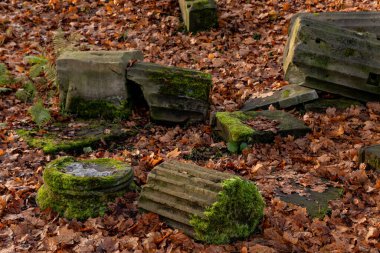 Sonbaharda düşen sarı yapraklar arasındaki sütunları yok etti.