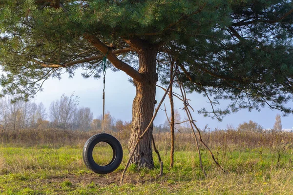 Balanço Pneu Carro Uma Árvore Meio Campo — Fotografia de Stock