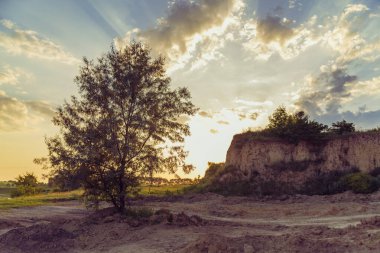İnanılmaz günbatımı manzarası bir ağaç ve tepenin arkasında