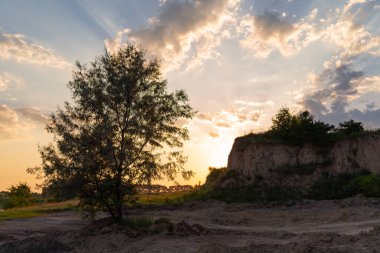 İnanılmaz günbatımı manzarası bir ağaç ve tepenin arkasında