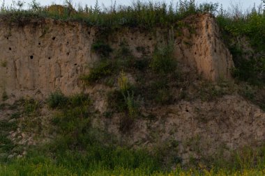 Gün batımında kuş delikleri olan kil bir tepenin uçurumu