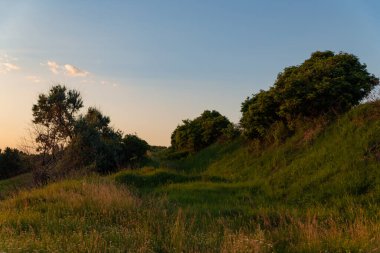 Gün batımında çimlerle ve çalılarla kaplı tepelerin manzarası