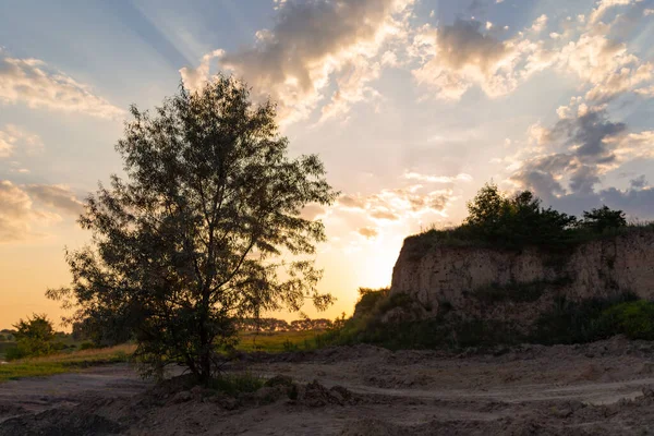 İnanılmaz günbatımı manzarası bir ağaç ve tepenin arkasında