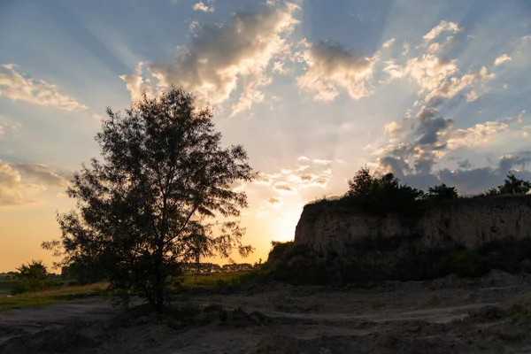 İnanılmaz günbatımı manzarası bir ağaç ve tepenin arkasında