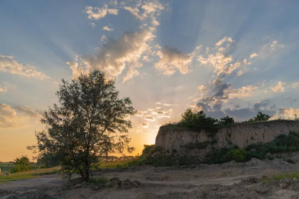 İnanılmaz günbatımı manzarası bir ağaç ve tepenin arkasında