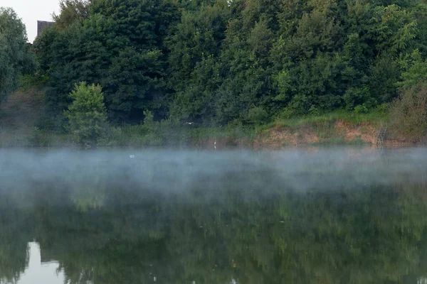 Niebla Sobre Agua Del Bosque Del Lago Refleja Agua Temprano — Foto de Stock