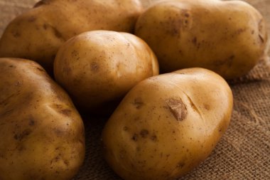 patates natürmort çuval arka plan üzerinde